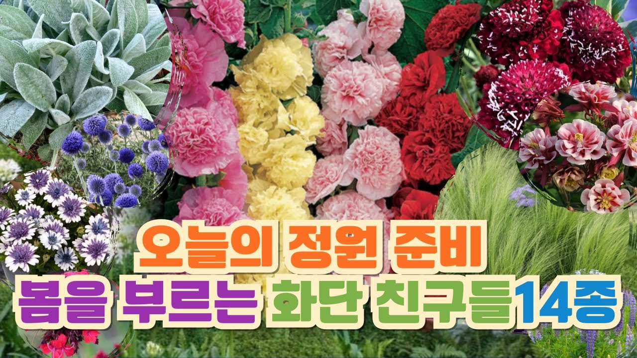 오늘은 정원에 설레는 날🌱14종 라인업 함께 골라요
