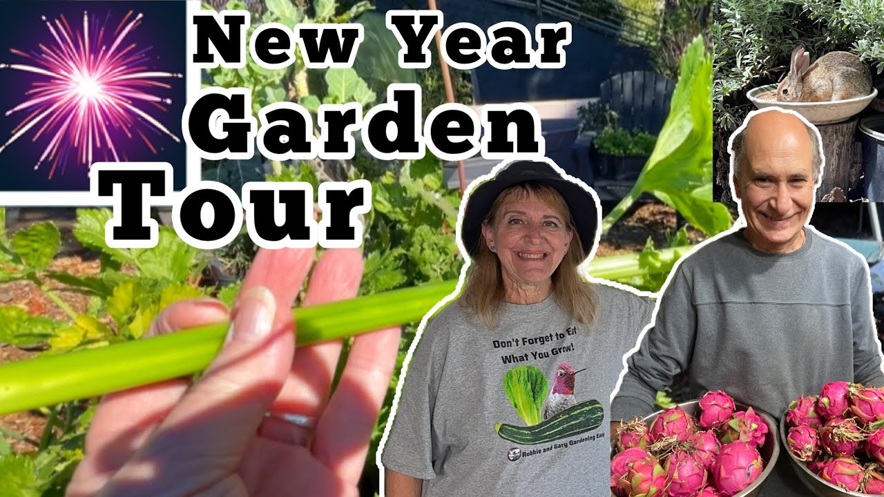 First Garden Tour Gardening with Nature of Vegetables, Flowers, Birds and Wildlife