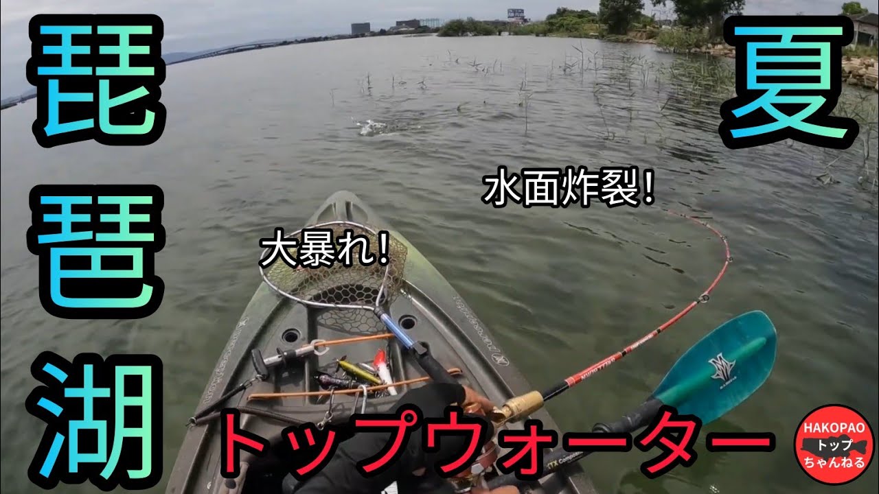 琵琶湖遠征記～トップウォーターで初琵琶湖バス！【琵琶湖バス釣り】