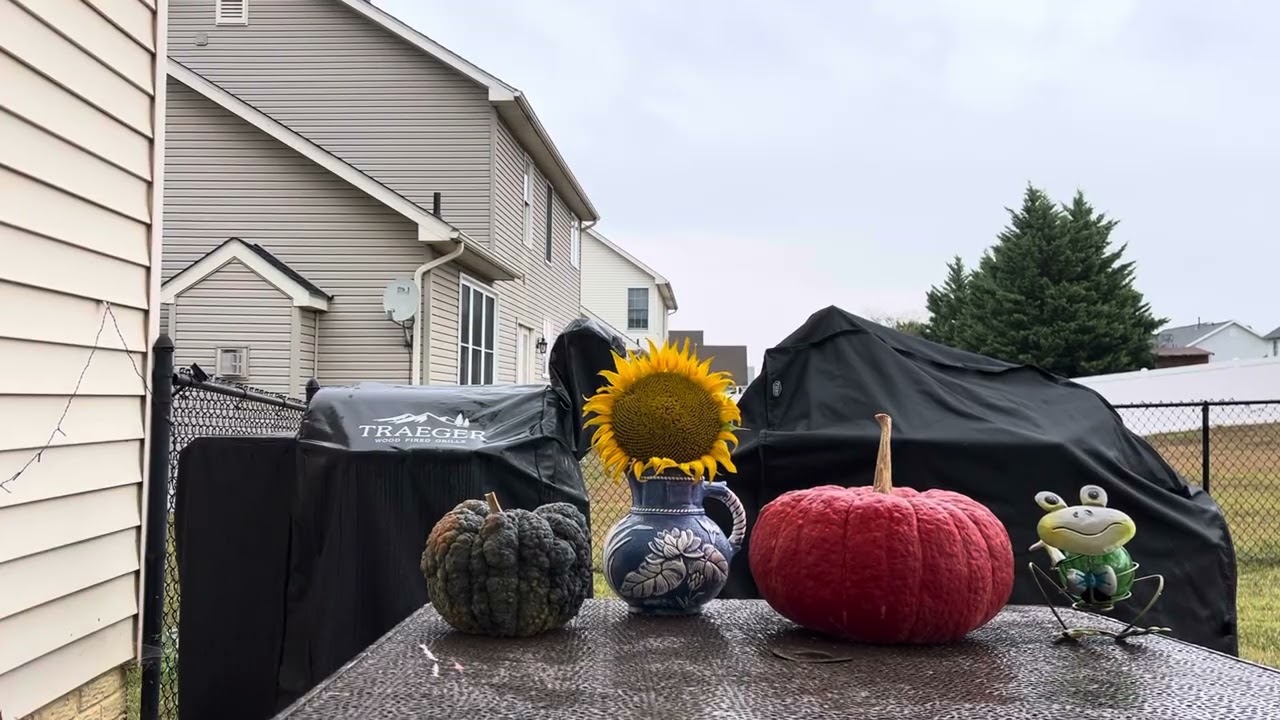 Finally Rain!!!