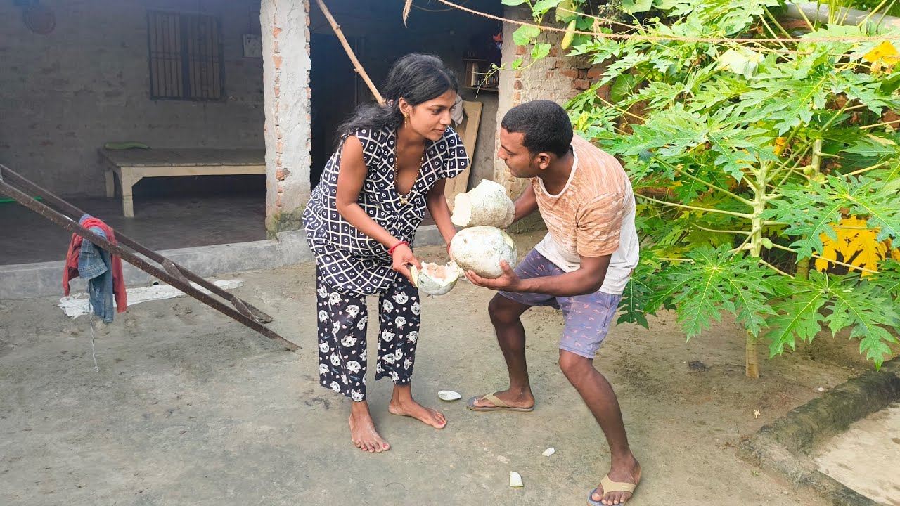 दोस्तों आज हम लोग अपने घर का पूरा सफाई करती है