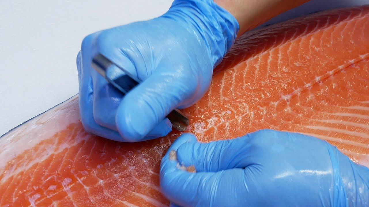 Огромный лосось сашими │ Морепродукты в Корее