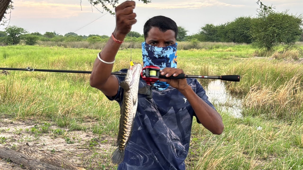 Bravvo Salamander Casting Rod, Snakehead Fishing Baitcasting Combo 