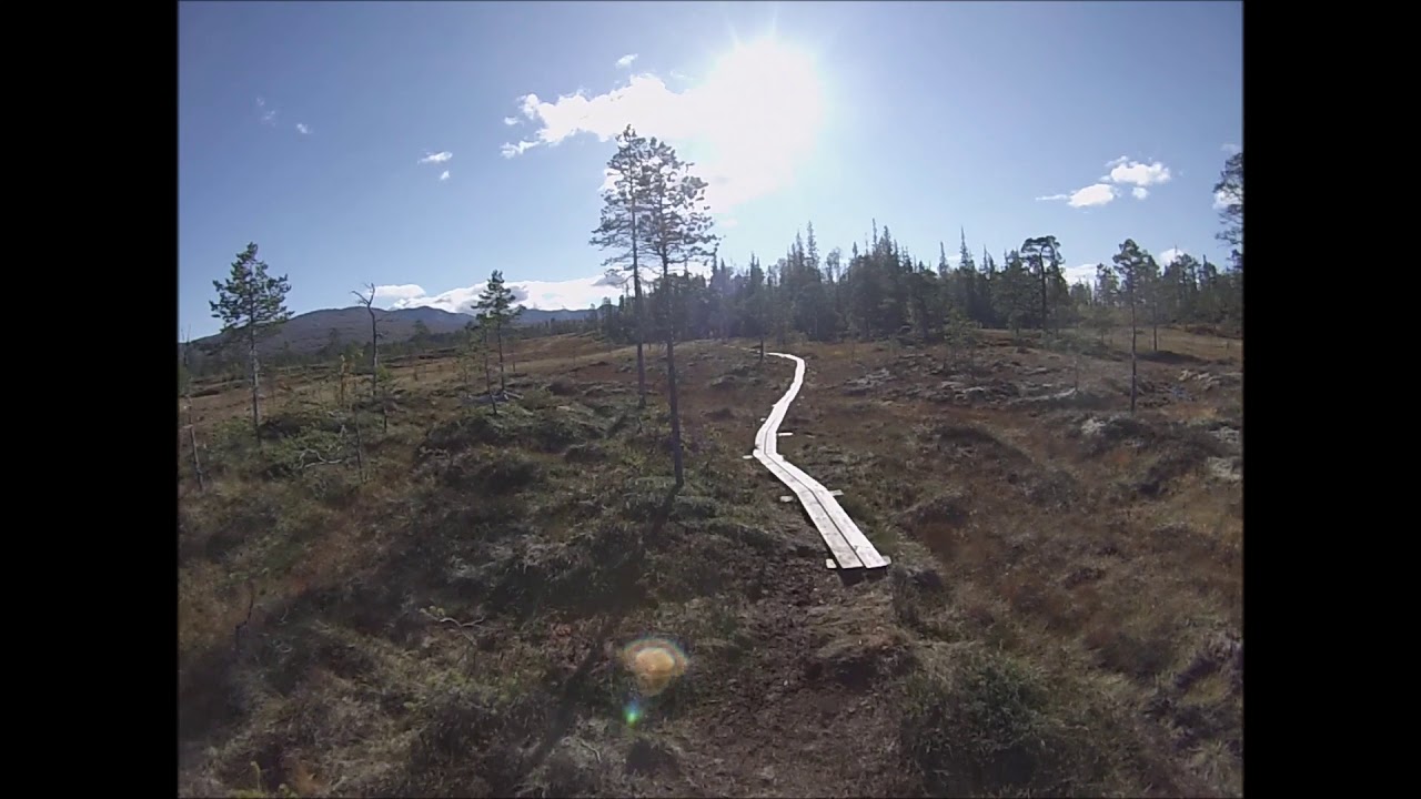 Topptur til Storskarven 1171 moh.
