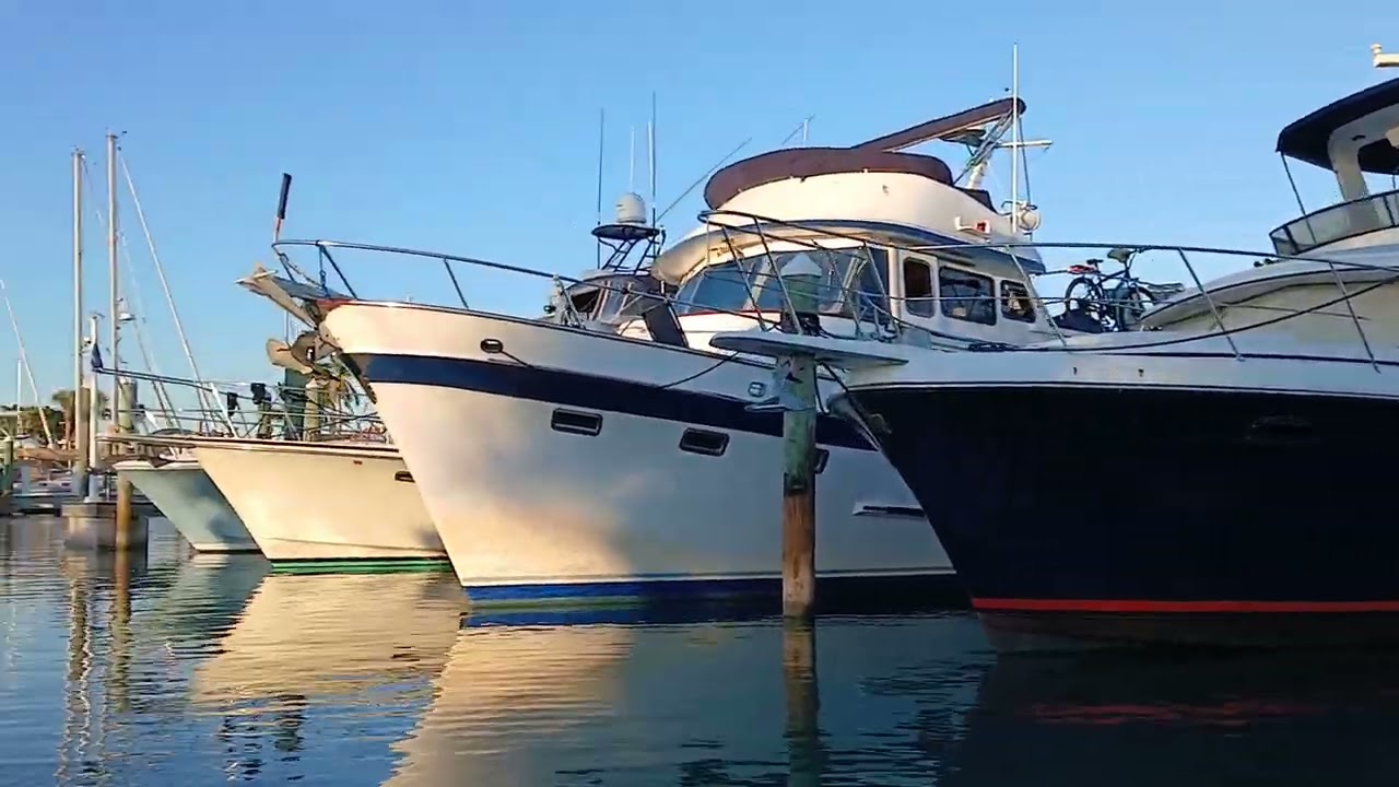 How about Now  " Marina Cruise  "