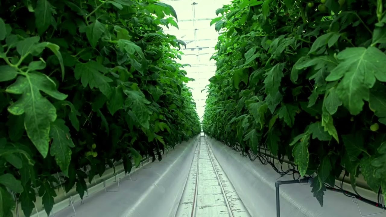 FloraMax Nutrients