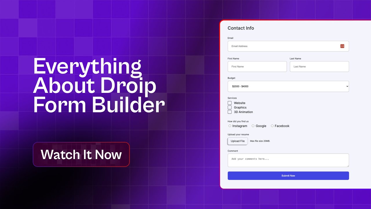 Everything About Droip Form Builder