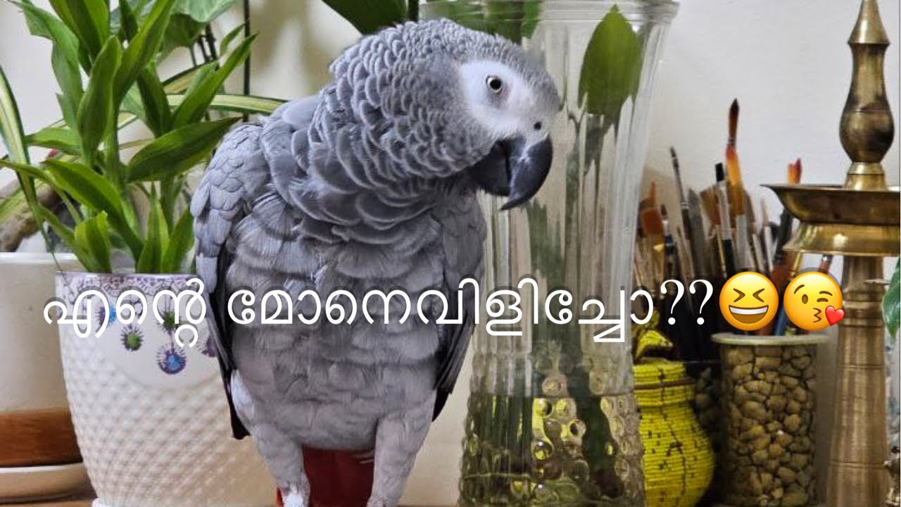 പോ..പോ..എന്റെ ചക്കരമോൻ ഉറങ്ങിക്കോ 😂😍🥰