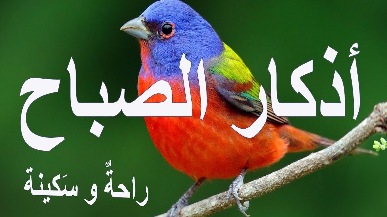 أذكار الصباح - راحة نفسية لا توصف بصوت القارئ علاء عقل | Morning Athkar - Dzkir Pagi