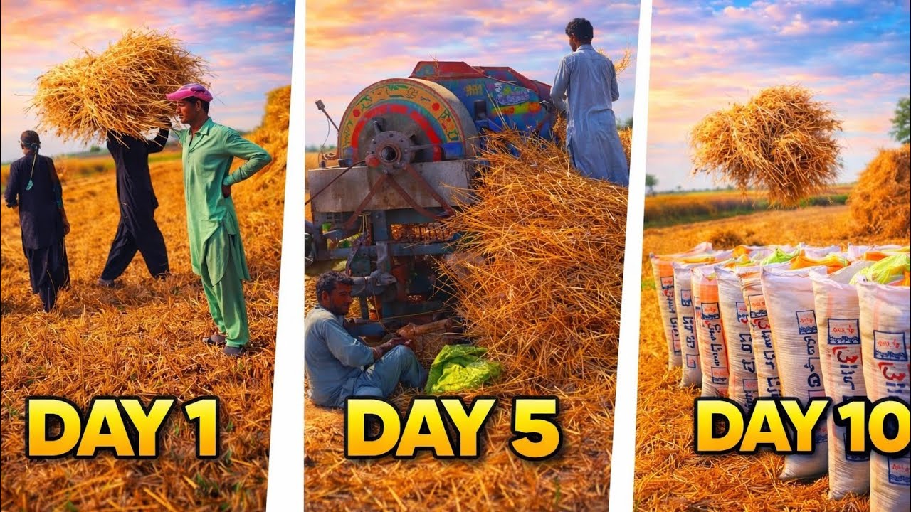 Fast Day And Last Day Kisan Ki Masnat 