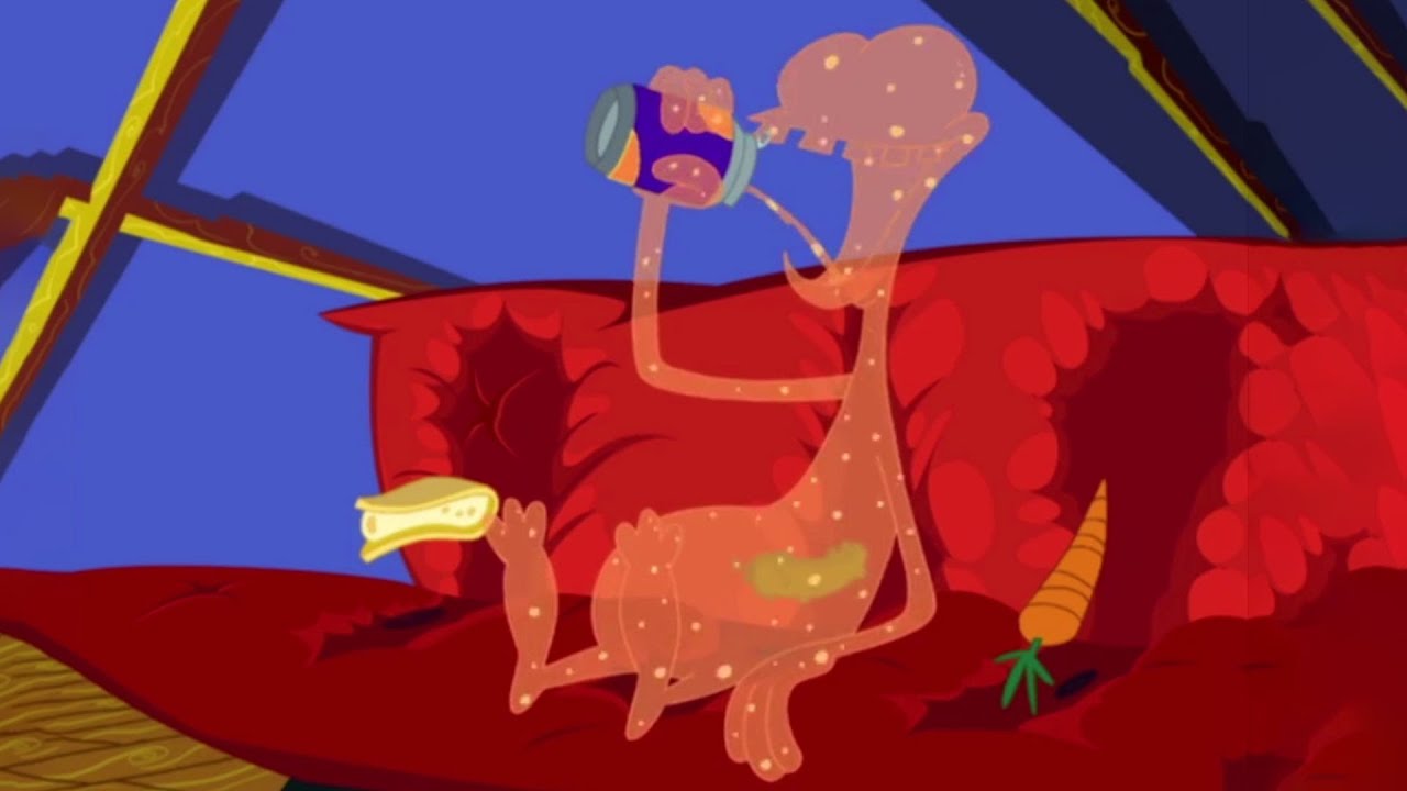 Les Zinzins de l’espace 👽 LA POTION D'INVISIBILITÉ - Episodes Inédits en HD
