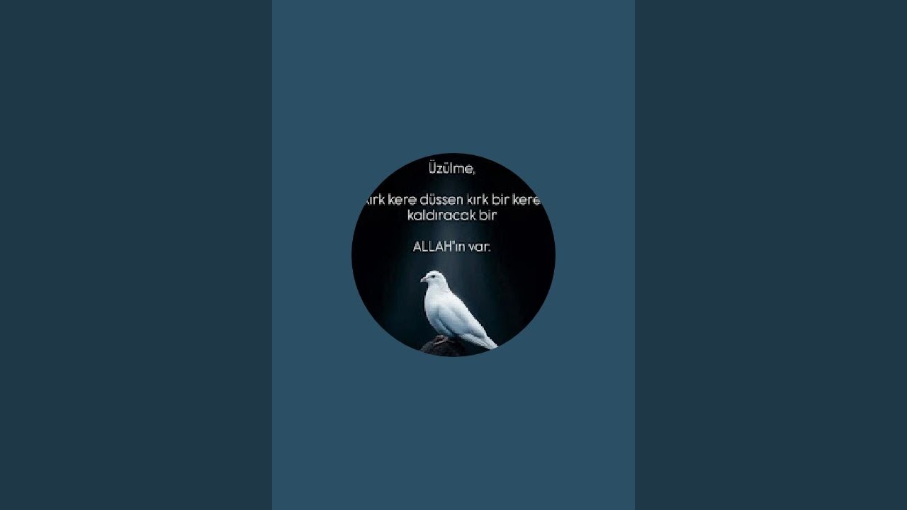 🖤.Pelin.🖤 kanalı canlı yayında