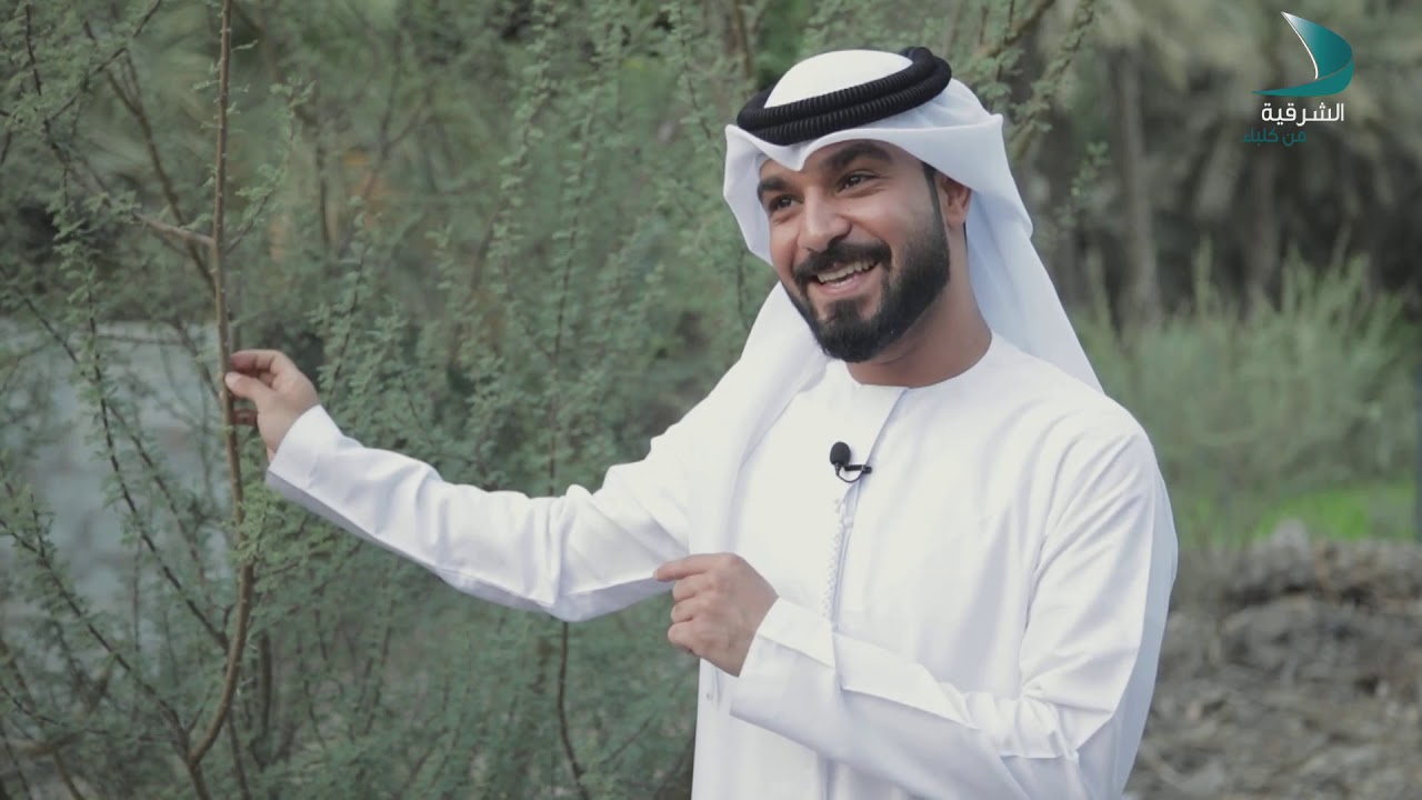 الضاحية | سعيد خميس النقبي - الحلقة 6