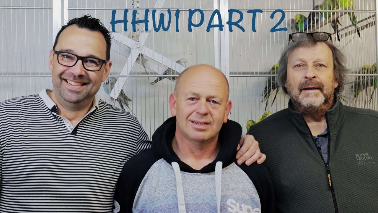 HHW1 Partnership| Part 2 | Top Quality Exhibition Budgerigars