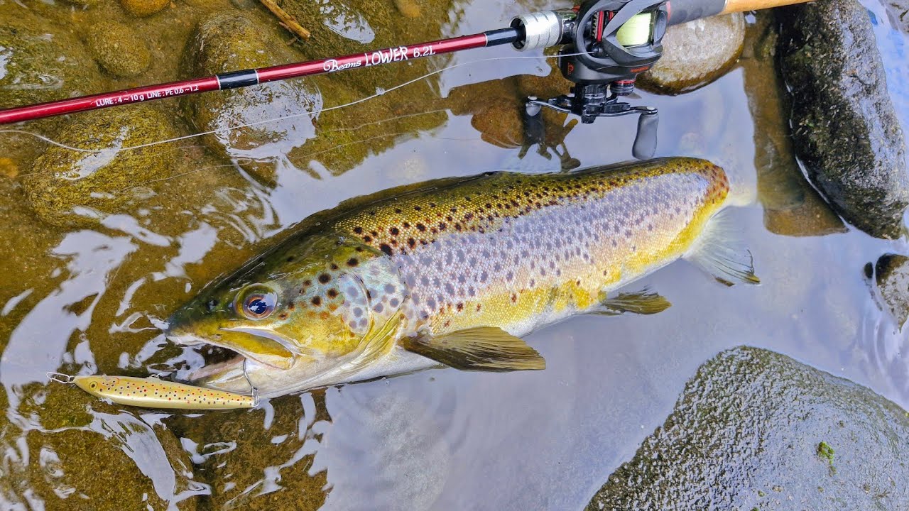 First fish of 2026
