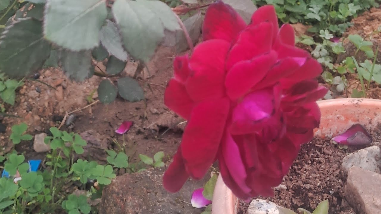 9 ramdan live#youtubelive#sonivlog#
