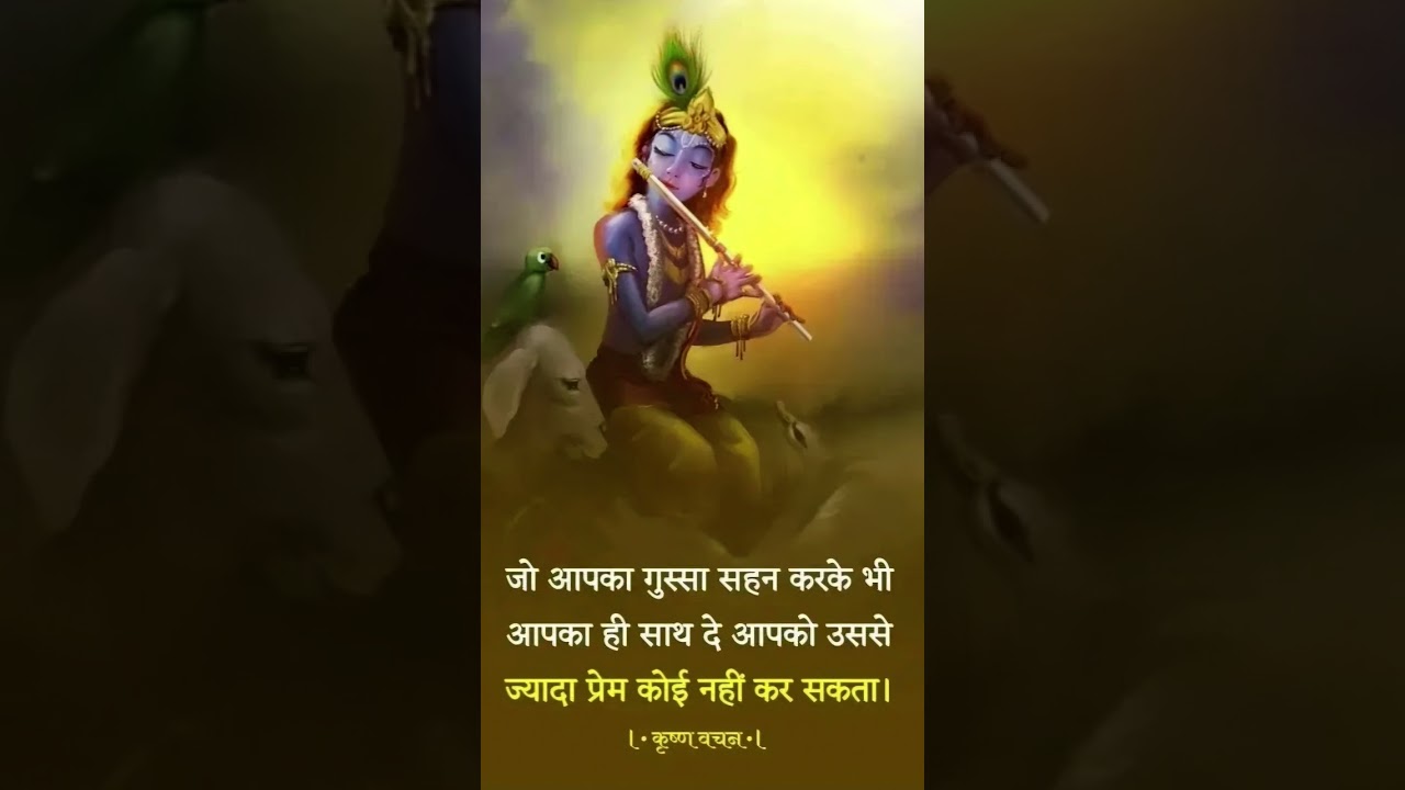 Krishna Sandesh #krishna #radhe #premanandmaharaj #trending #ytshorts #reels
