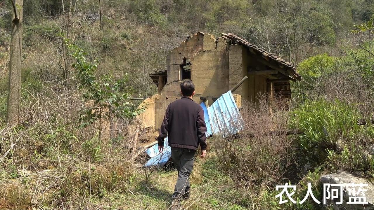深山发现一无人村，女汉子独自看守百只山羊，过着与世无争的生活