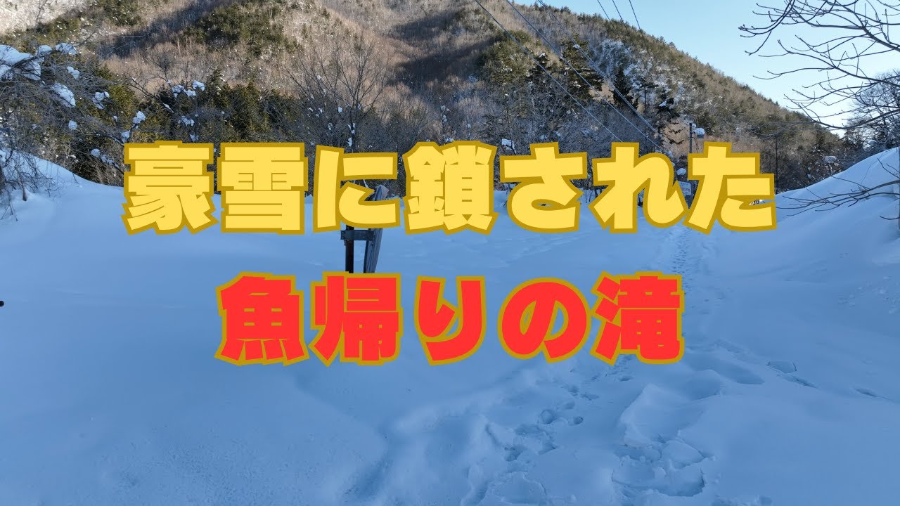 【豪雪】の魚帰りの滝と（滝名）ジュウバコ＃飛騨高山