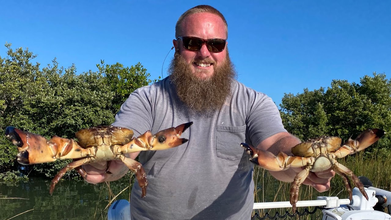 My STONE CRAB traps were loaded!! {Catch, Clean, Cook} bonus Sheepshead fishing.