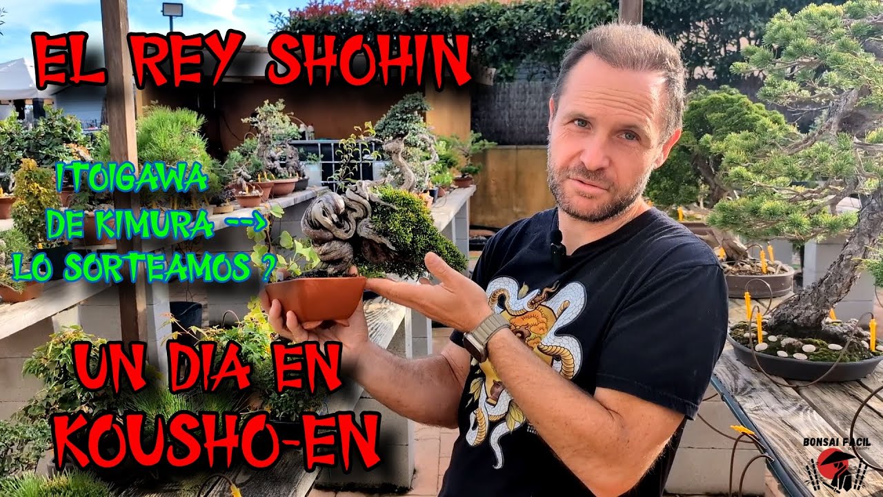 El Rey Shohin! Conozcamos Kousho-en y sus talleres