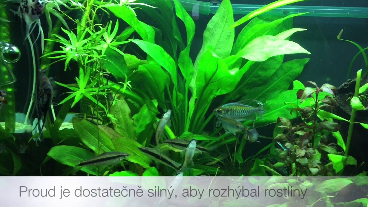 Vněj&scaron;&iacute; filtr Aqua Nova NCF 1500