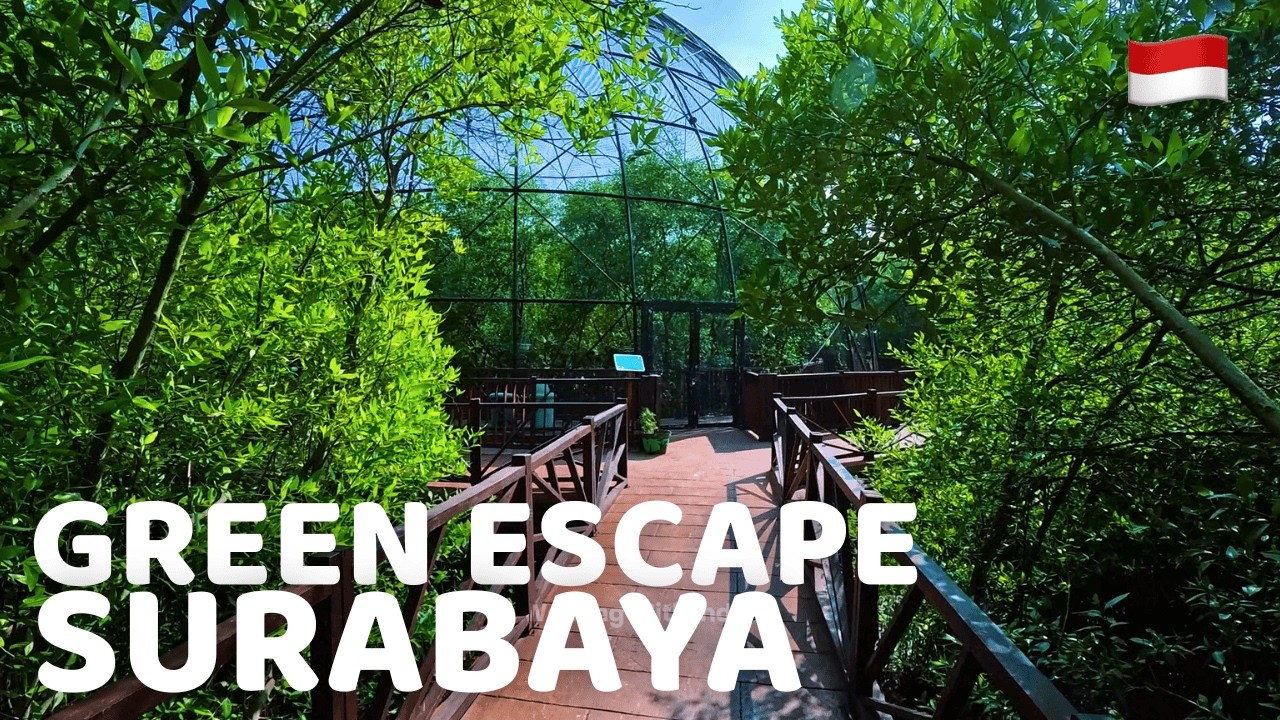 The Most Beautiful Nature Escape at Kebun Raya Mangrove Surabaya | Surabaya Walking Tour 4K