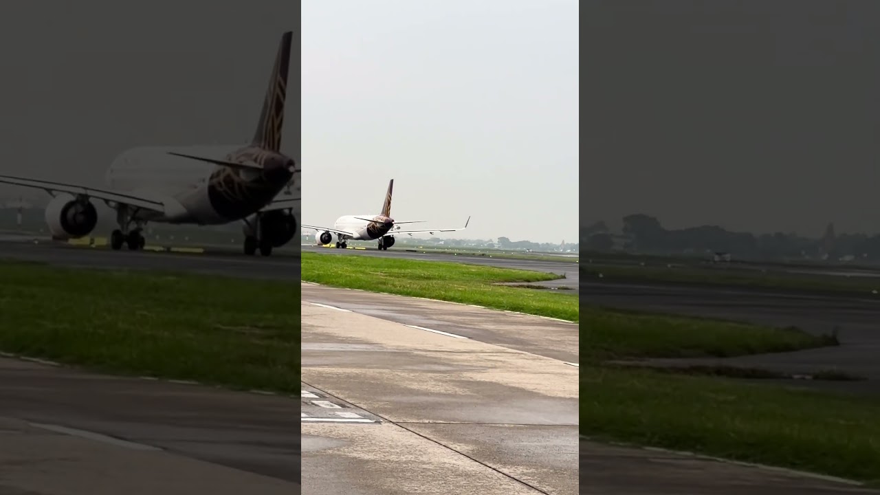 Sf flight ✈️ aai delhi airport #automobile #travel #aviation #song #aeroplane