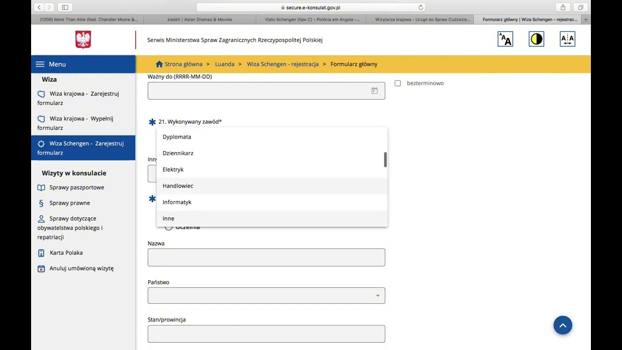 COMO PREENCHER O FORMULÁRIO PARA PEDIR O VISTO ? How to fill out the visa application form ?