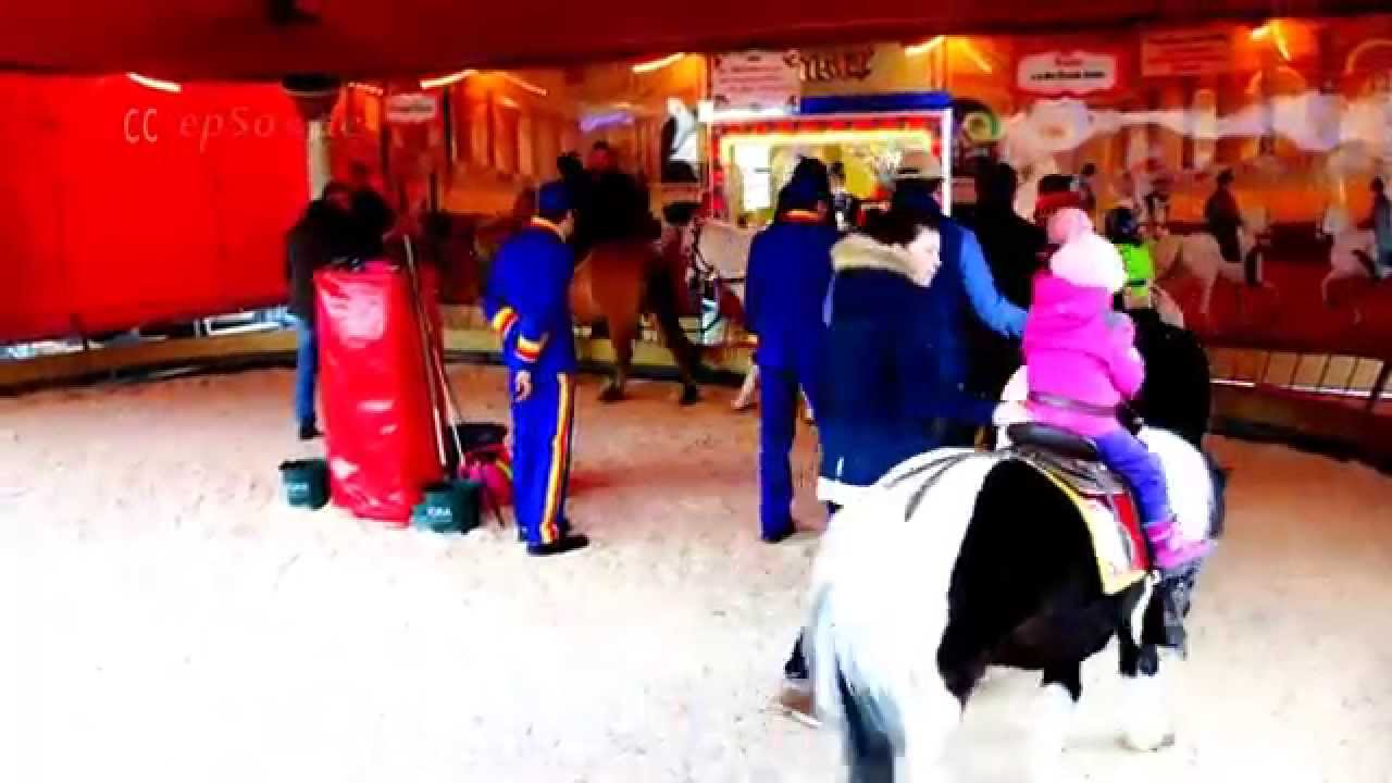 Cute Pony working for Kids in Europe