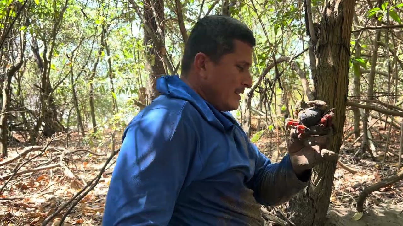Sacamos los primeros dos cangrejos azules 