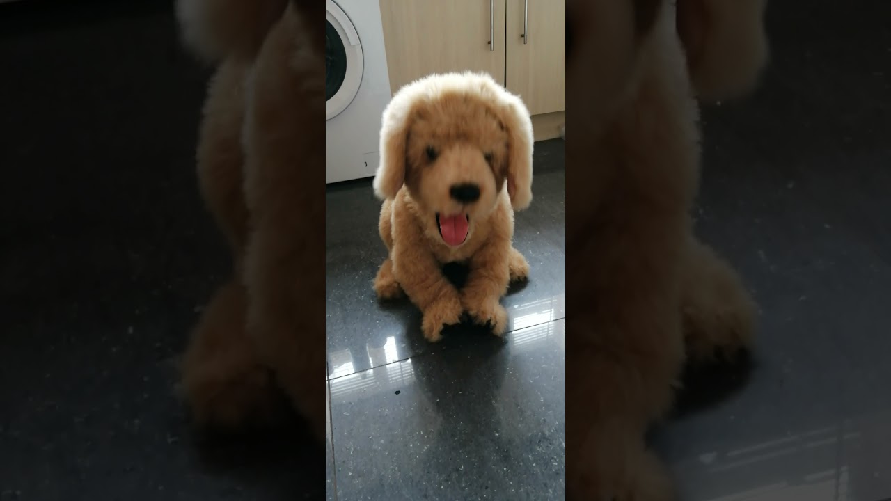Furreal Hasbro Biscuit dog Labrador