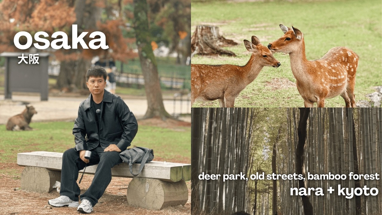 Japan Last Stop: Nara Deer Park + Old streets + Bamboo Forest | Charles Josh