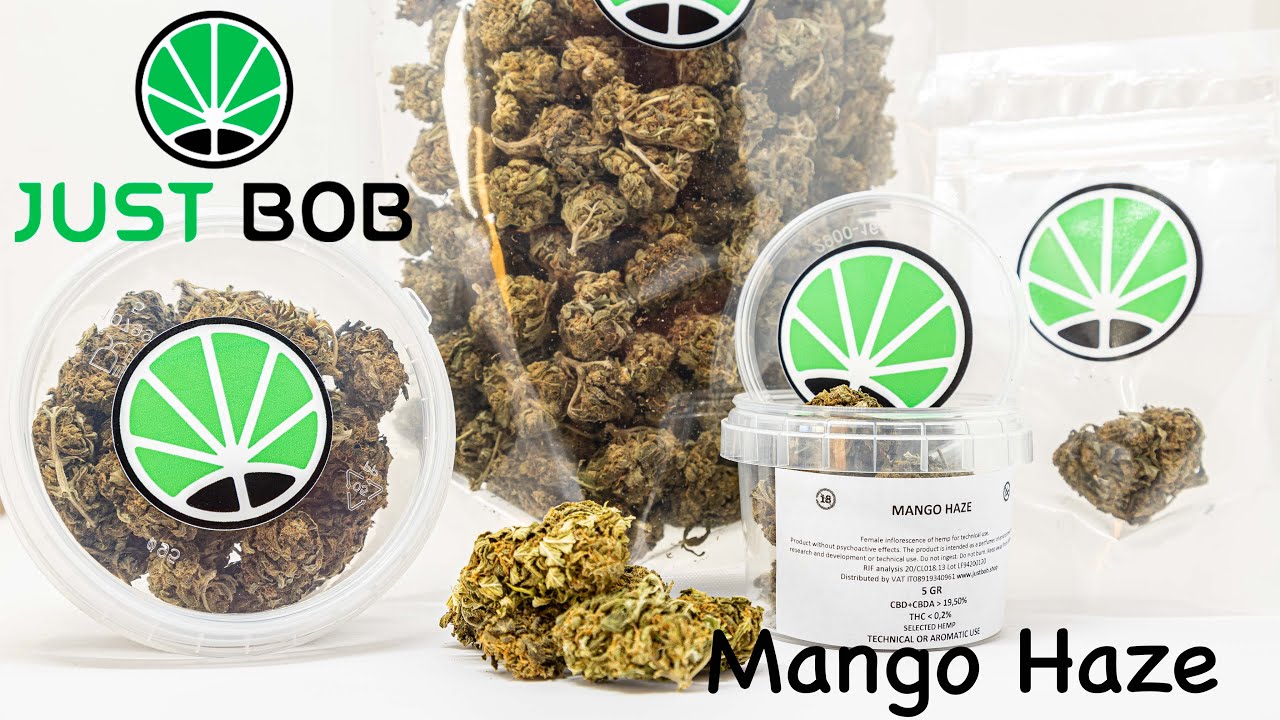 Mango Haze CBD - Cannabis CBD - JustBob FRA