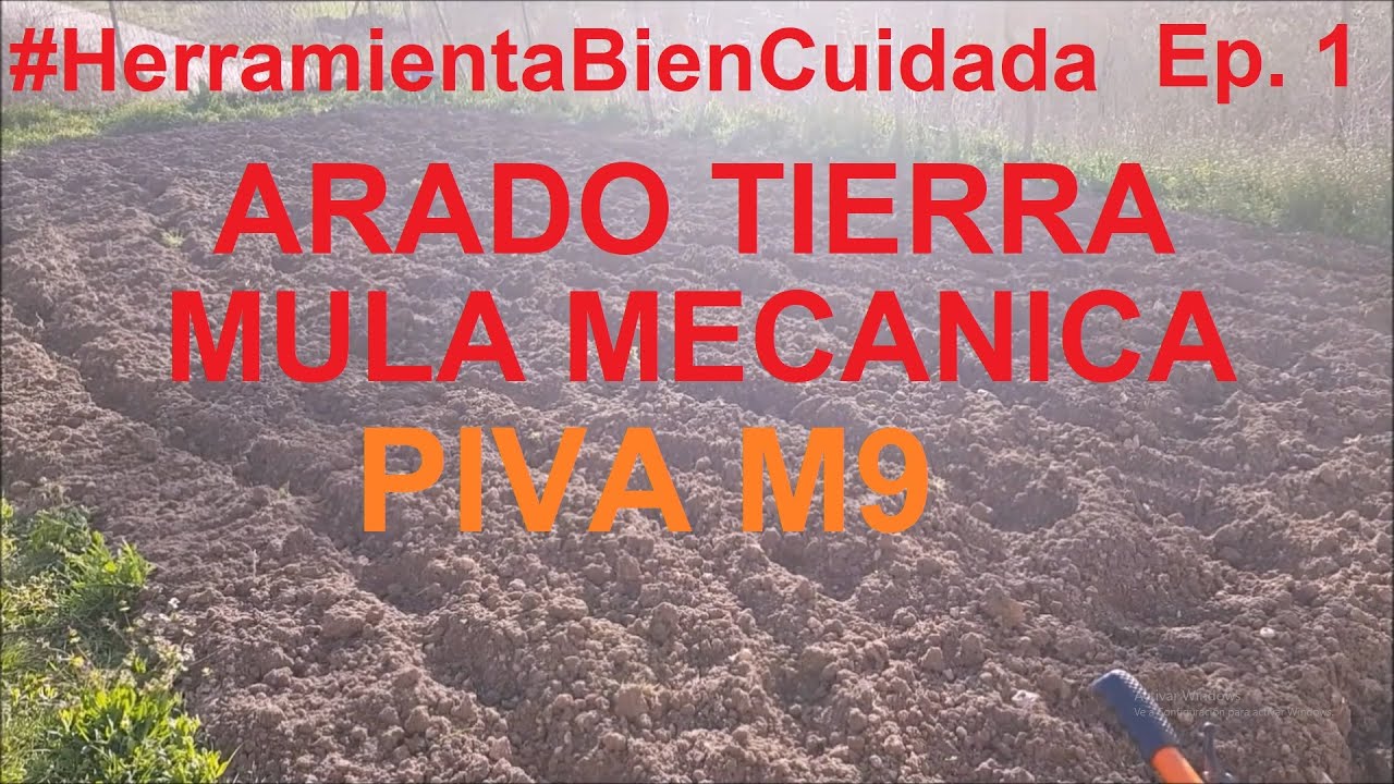 ARADO de TIERRA con MULA MECANICA: PIVA M9 - #HerramientaBienCuidada Ep. 1