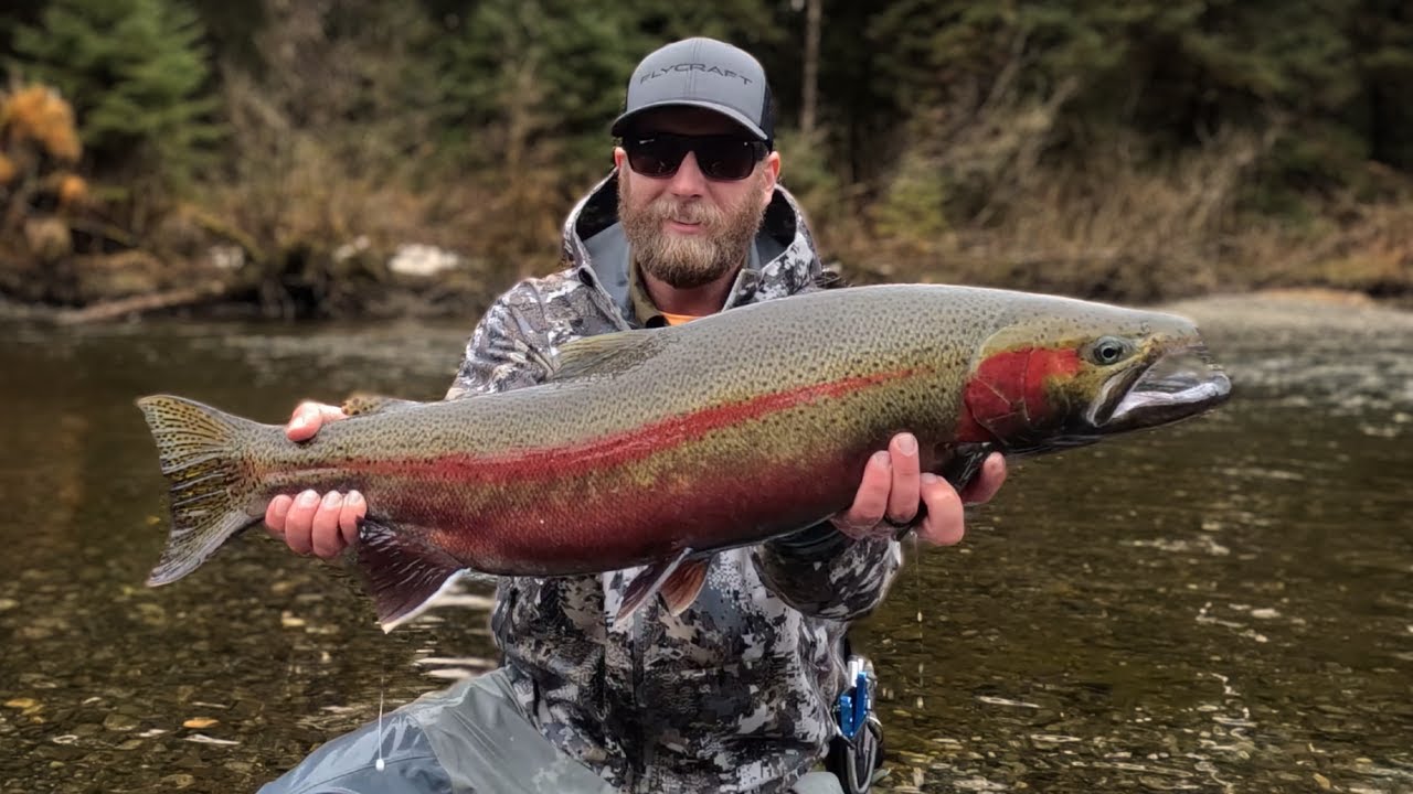 Fishing for big steelhead: Mining Steel