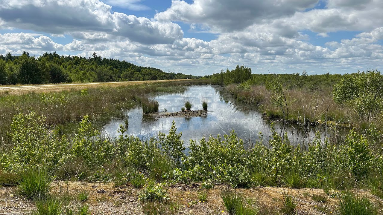 Fietsen in Drenthe: Bargerveen