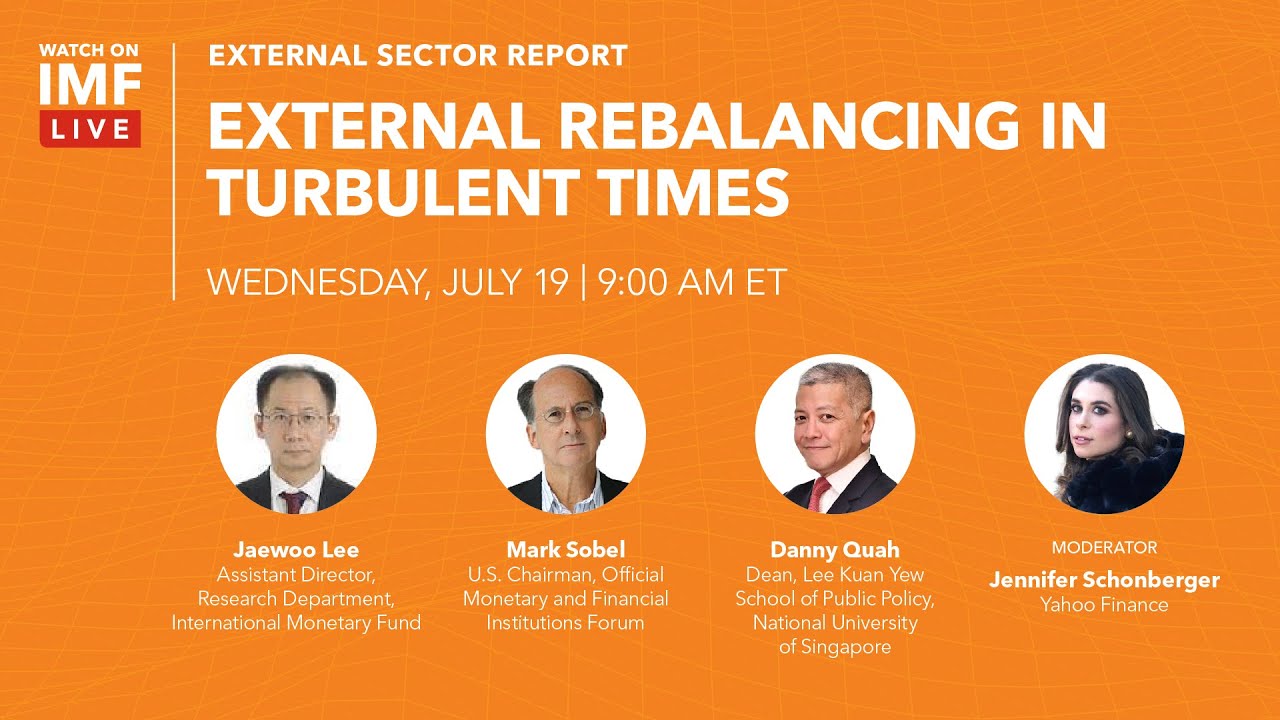 IMF 2023 External Sector Report