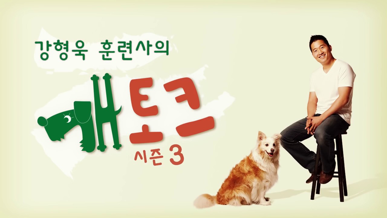 [개토크 시즌3] 강형욱 훈련사의 개토크 시즌3 #6 강아지와 같이 자는 것에 대한 토크