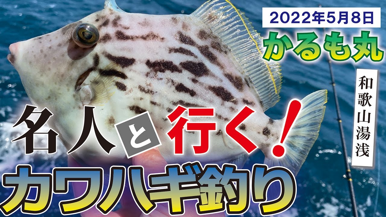 【有料級】カワハギ釣り名人の神アドバイスで爆釣します！