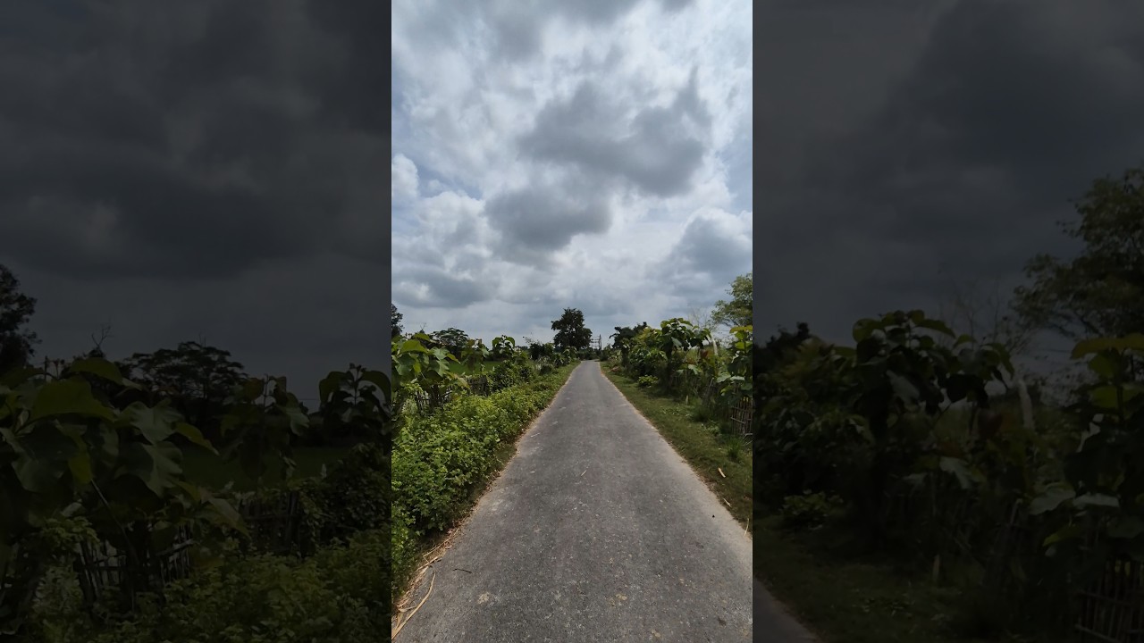Gorgious Weather In My Village II West Champaran Bihar