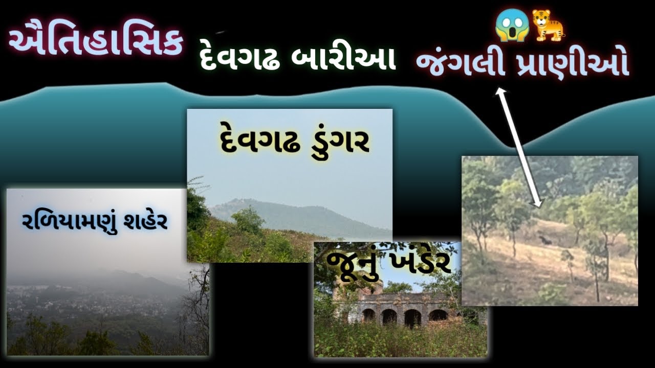 દેવગઢ ડુંગર બારીઆ // Devgadh Baria dungar // દેવગઢ vlogs 🙏🏻🐆Vk vlogs 🦌🐆🐯