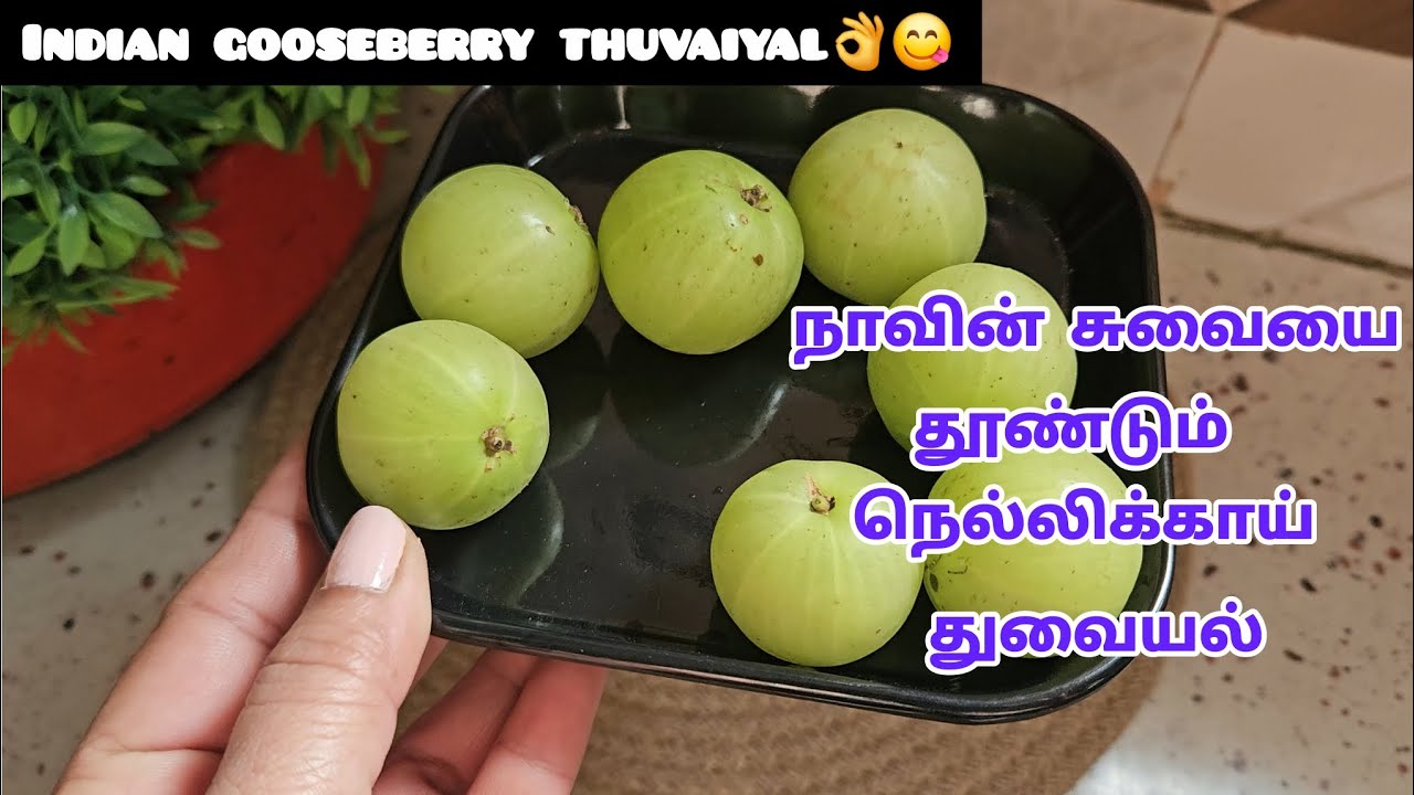 நாவின் சுவையை சுண்டி இழுக்கும் நெல்லிக்காய் துவையல் | Amla recipe | Indian gooseberry thuvaiyal 