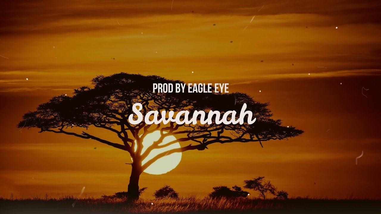 ( Free ) Afrobeat X Deep House  