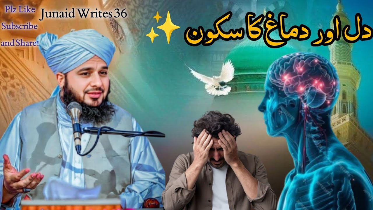 Dimag Ka Sakoon..🦋🌸 Peer Ajmal Raza Qadri Bayan #foryou #youtubeshorts #ajmalrazaqadri #youtube 