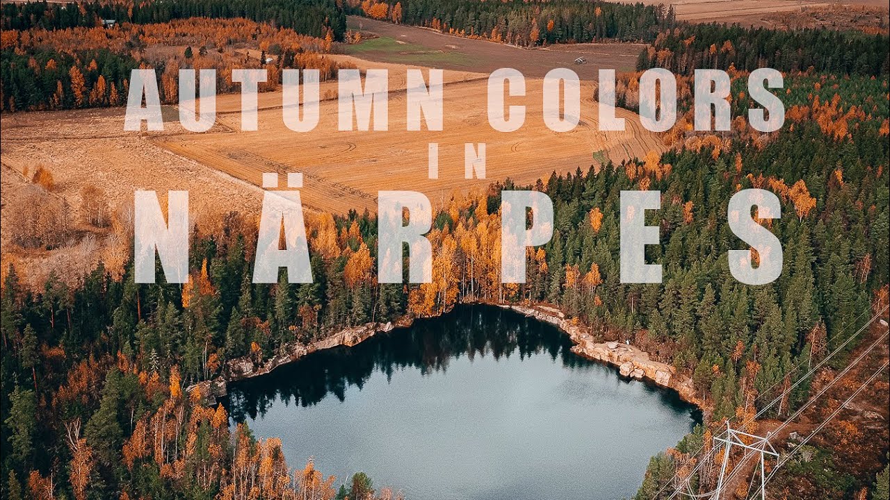 Autumn Colors in Närpes, Finland / DJI Mavic Mini