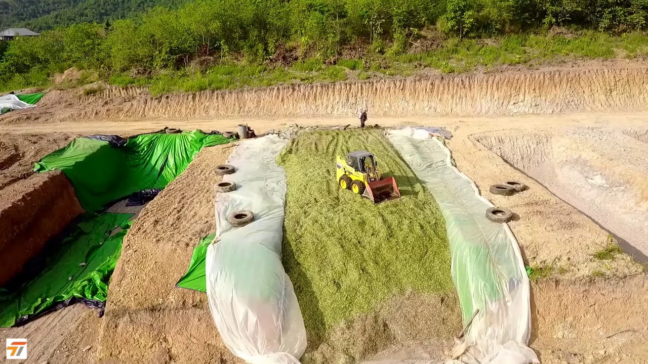 CJ Cambodia (MH Agro)