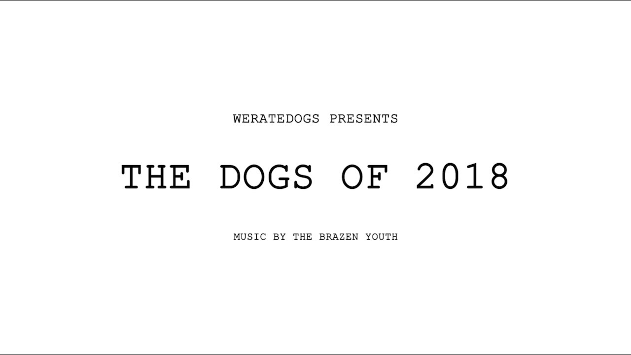 The Dogs of 2018