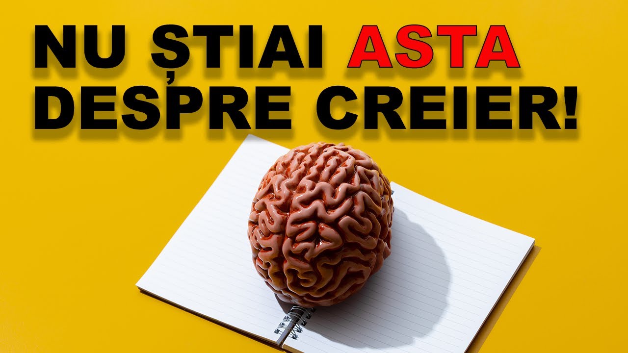 11 lucruri fascinante despre creier