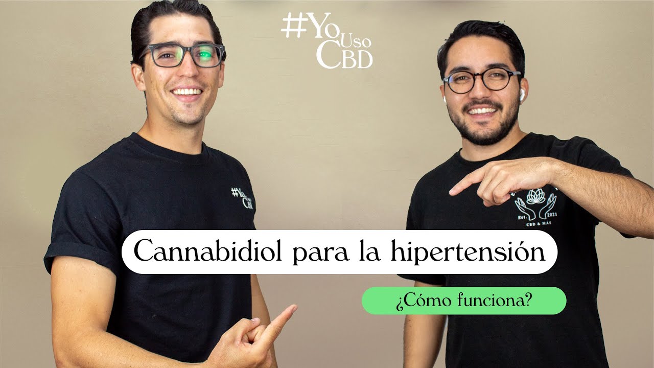 &iquest;El CBD ayuda con la hipertensi&oacute;n? Conoce la verdad